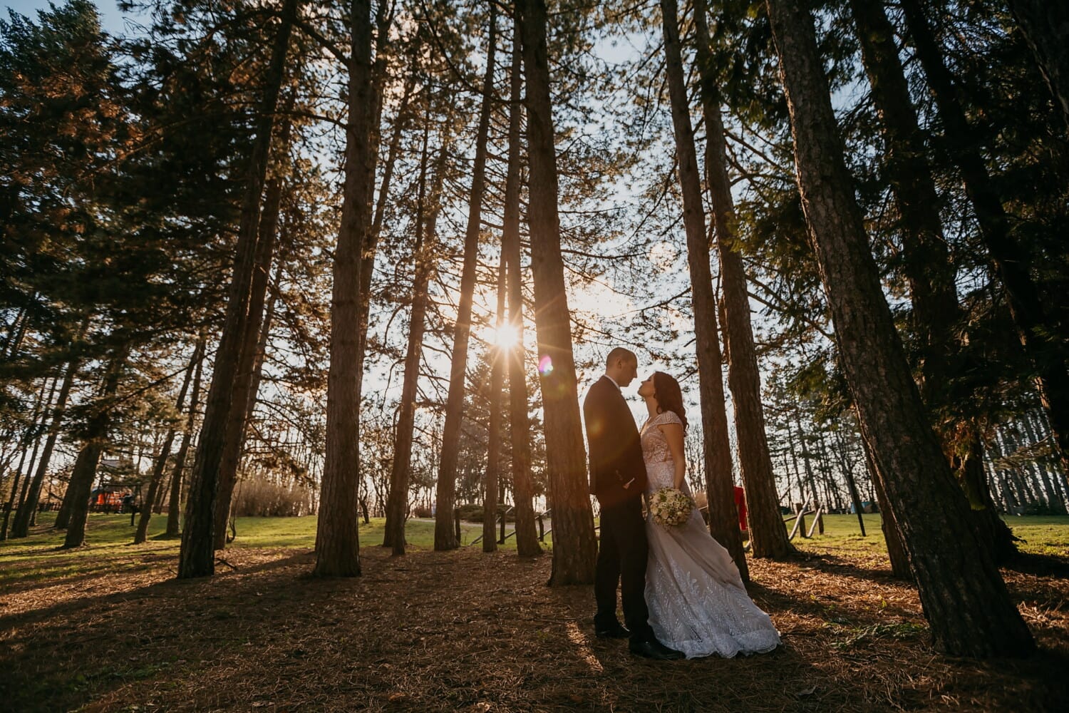 A picturesque local park serving as a backdrop for a wedding ceremony.